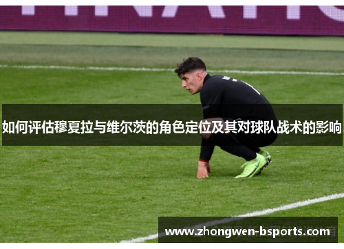 如何评估穆夏拉与维尔茨的角色定位及其对球队战术的影响
