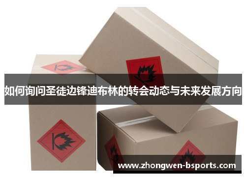 如何询问圣徒边锋迪布林的转会动态与未来发展方向