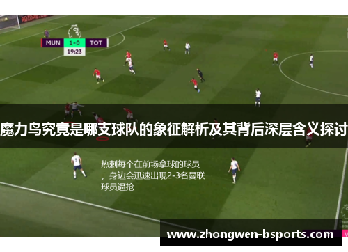 魔力鸟究竟是哪支球队的象征解析及其背后深层含义探讨
